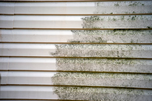 Best Steel Siding Installation  in Clifton, NJ