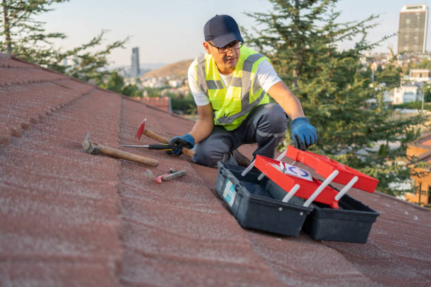 Best Steel Siding Installation  in Clifton, NJ