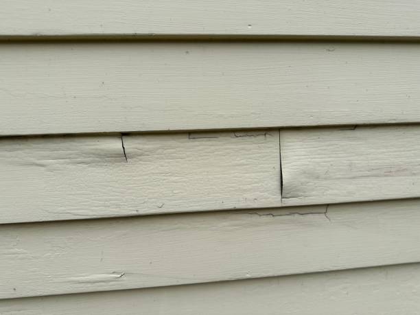 Best Fiber Cement Siding Installation  in Clifton, NJ